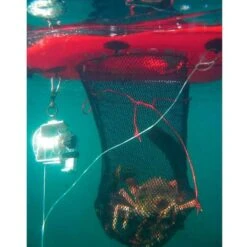 Sevylor DIVENET 9 Sevylor DIVENET -Nautiques Fournitures Magasin pdtimg 3951008b