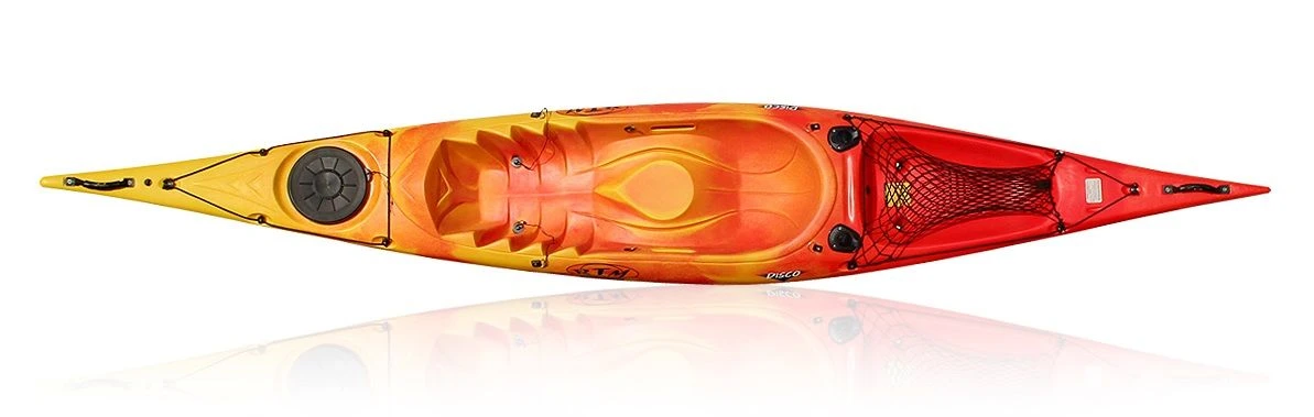 DISCO Pêche 4 DISCO Pêche – Image 2